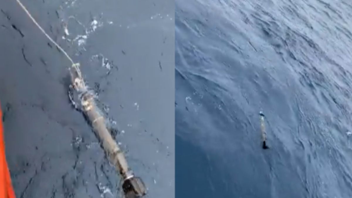 Pływak badawczy Argo