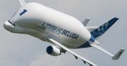 Najbrzydszy samolot świata w Polsce. Airbus A300-600ST Beluga – lądowanie w Warszawie