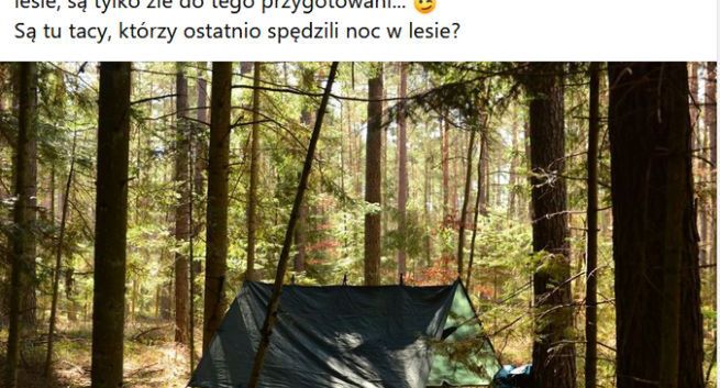 Lasy Państwowe zachęciły do nocowania w lesie. „Niefortunnie wyszło”