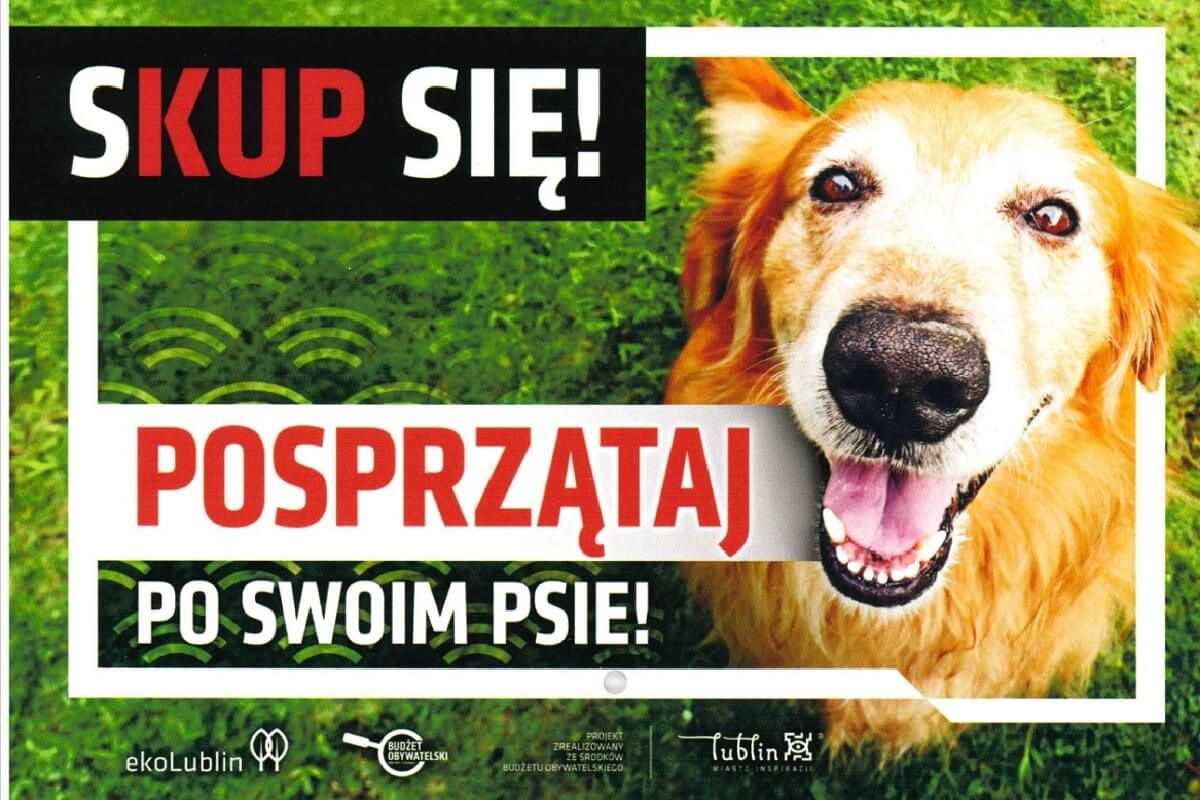 akcja sprzątaj po swoim psie