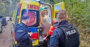 Międzyrzecze: 84-latek zaginał na grzybach. Komendant ogłosił alarm