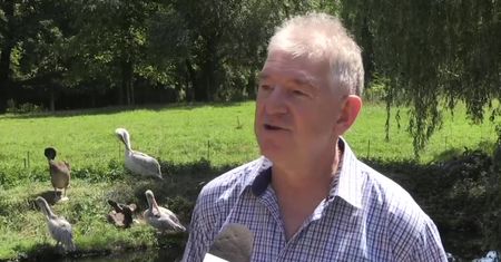 Pelikan uciekł z opolskiego zoo. Przechodnie zauważyli go w stawie we Wrocławiu