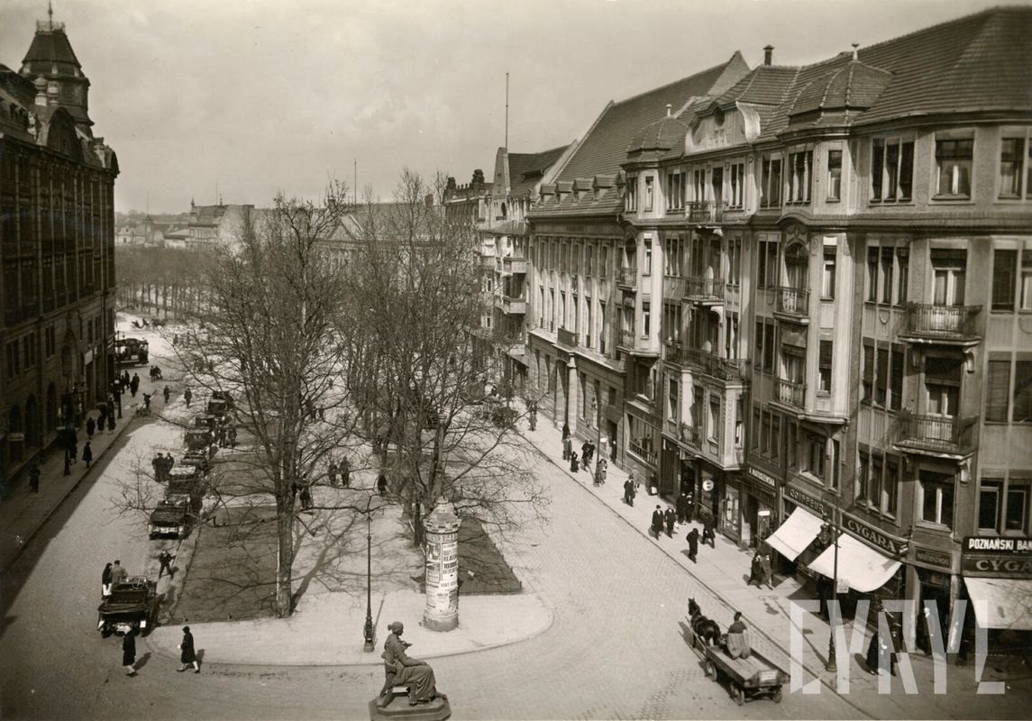 zdjęcie