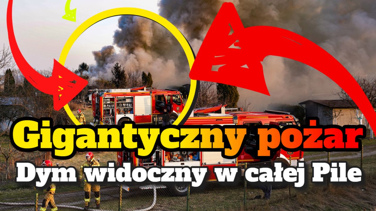 Olbrzymi pożar na działkach w Pile
