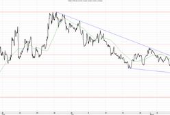 Korekta wzrostów czy powrót do maksimów końca czerwca?