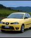 Seat Ibiza Cupra 2005