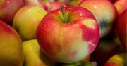 Jesz jabłka? Oto co się wtedy dzieje z twoim organizmem