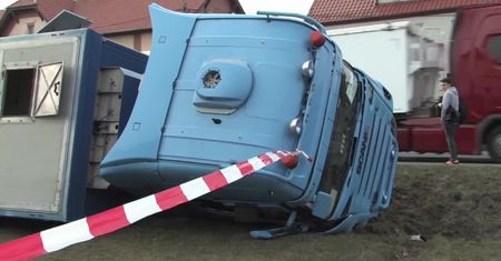 Zderzenie osobówki z ciężarówką przewożącą trzodę. 170 świń rozbiegło się po okolicy, ale udało się je złapać