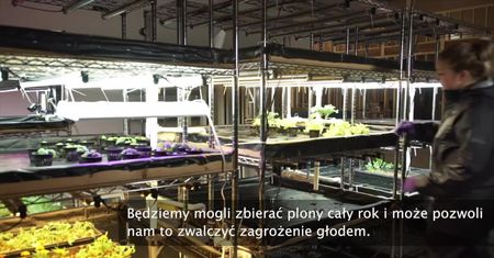Ciepło z kopalni bitcoinów zasila… szklarnię i hodowlę ryb
