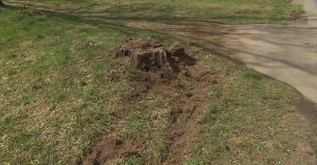“Po prostu ich skosił. Dziewczynka niemal zmarła mi na rękach”. Świadkowie o tragicznym wypadku w Sitnem