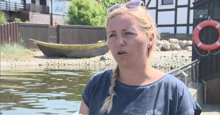 Kolejna martwa foka nad Bałtykiem. Helenka miała zmiażdżoną głowę