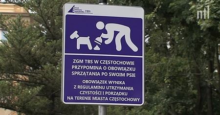 Częstochowa walczy z “niespodziankami” zostawionymi po psach