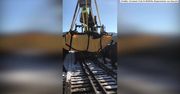 Ogromny łoś, ważący ponad 300 kg położył się na torach kolejowych i nie chciał z nich zejść.