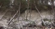 Wielkie sprzątanie nad Bałtykiem. Sztorm wyrządził wiele szkód