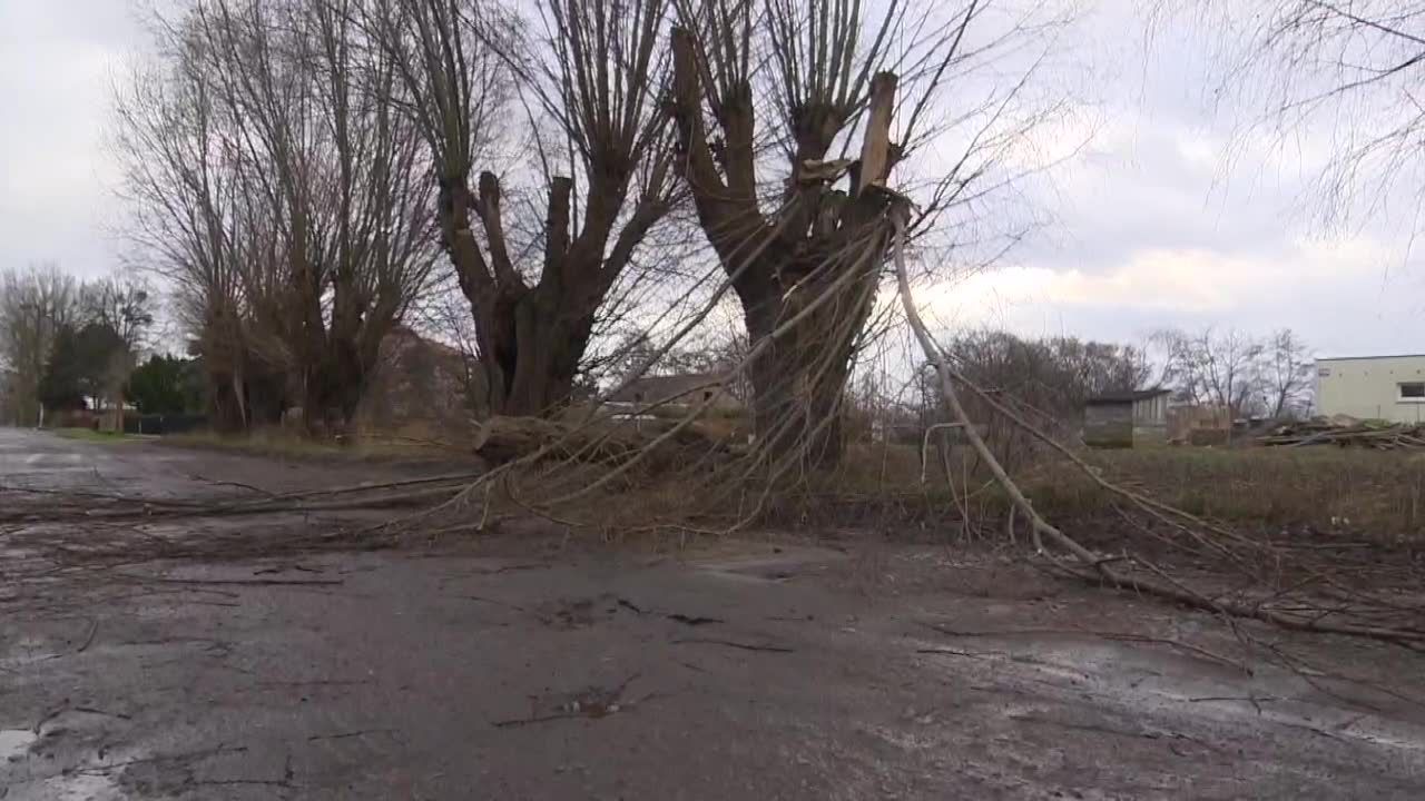 Silny wiatr łamie drzewa, zrywa sieci energetyczne. Tysiące odbiorców bez prądu w wigilię