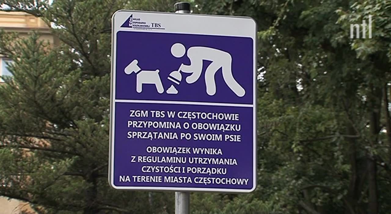 Częstochowa walczy z “niespodziankami” zostawionymi po psach