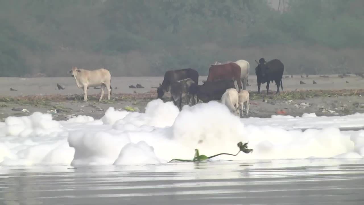 Toksyczna piana na rzece Jamuna w Indiach
