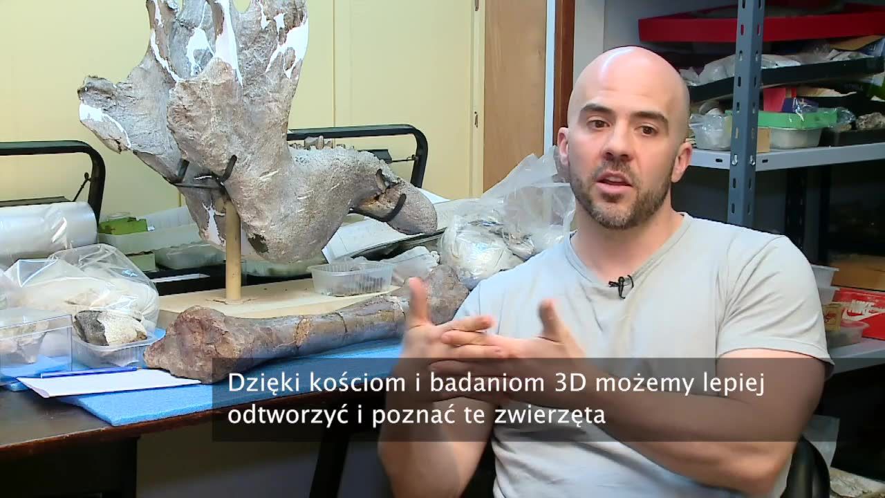 Jeden z gatunków dinozaura wraz z rozwojem uczył się chodzić na dwóch łapach