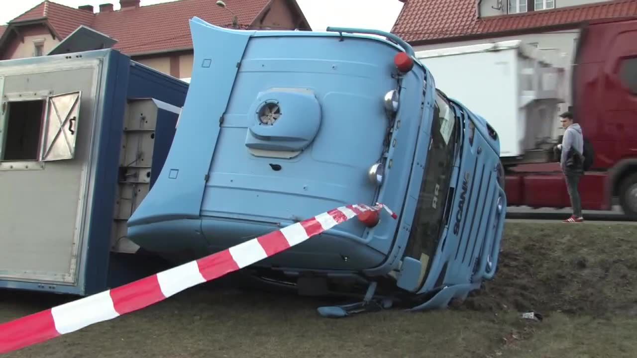 Zderzenie osobówki z ciężarówką przewożącą trzodę. 170 świń rozbiegło się po okolicy, ale udało się je złapać