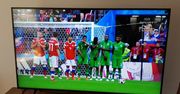 Telewizja Polska zaskoczyła. Mundial na stronach TVP ogląda się bez problemu