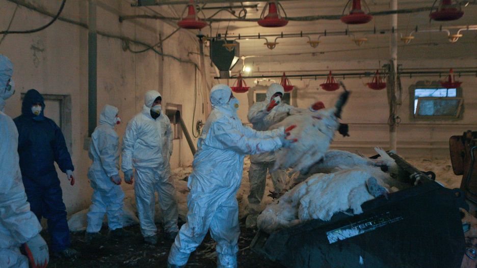 Spotkanie kryzysowe zorganizował również Wojewoda Lubelski. (zdjęcie ilustracyjne)