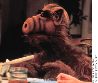 „Alf” – reboot legendarnego serialu.