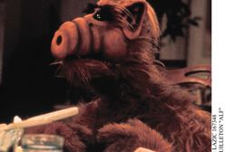 „Alf” – reboot legendarnego serialu.