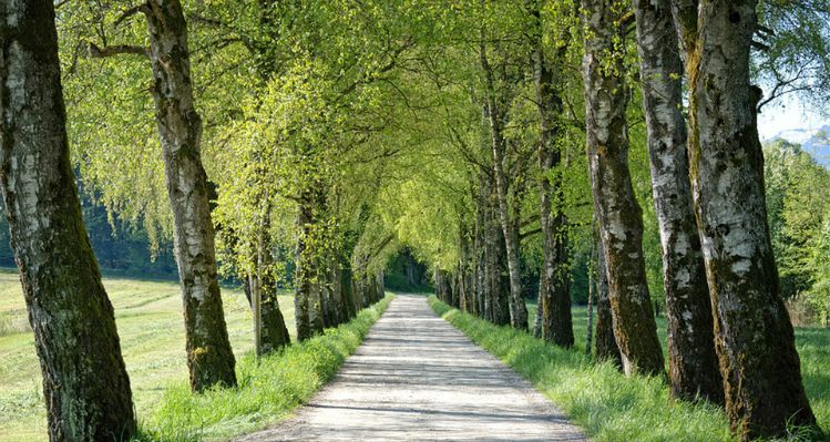 Dzisiaj rano temperatura spadła poniżej zera, a rok temu w całym kraju było ponad 20 stopni