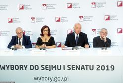 Wyniki wyborów 2019. Kiedy PKW policzy głosy?