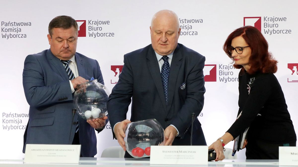 Wybory parlamentarne 2019. Podział mandatów w Sejmie