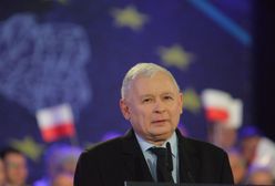 Warzecha: "Piątka Kaczyńskiego pięknie nas pociągnie. Na dno" (Opinia)