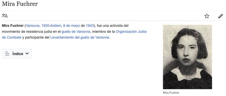 Polska Fundacja Narodowa sfinansowała tłumczenia m.in. na angielskiej i hiszpańskiej Wikipedii