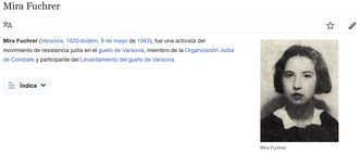 Polska Fundacja Narodowa płaci za tłumaczenie Wikipedii. Na pierwszy ogień angielska, rosyjska i hiszpańska