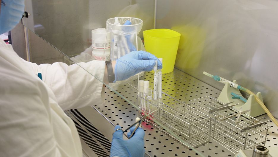 Laboratorium 
