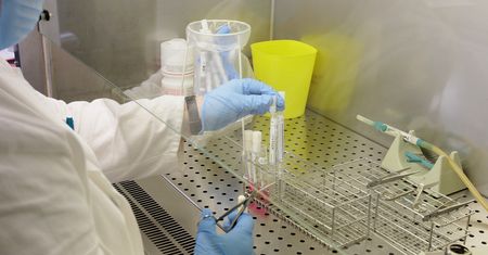 Niemcy oficjalnie ogłosili epidemię grypy