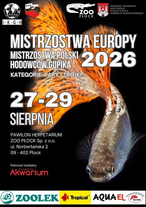 Mistrzostwa Europy i Polski Hodowców Gupika 2026