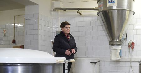 Wsparcie dla małych firm. Szydło: będziemy realizować kilka programów