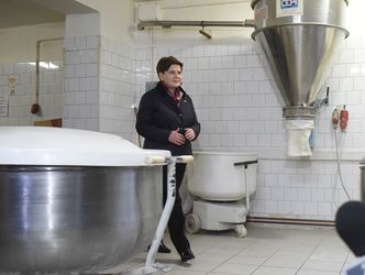 Wsparcie dla małych firm. Szydło: będziemy realizować kilka programów