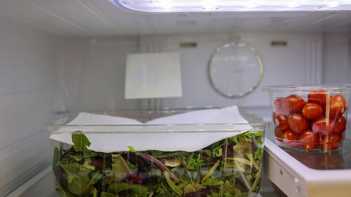 Jak przechowywać sałatę?