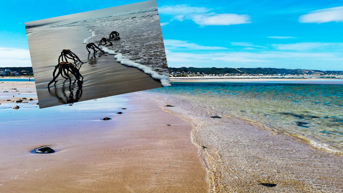 Internauci nie dowierzali, kiedy dowiedzieli się, co naprawdę je