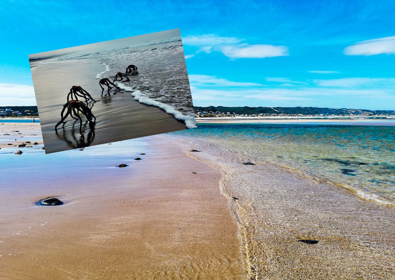 Mysterious beach photo sparks alien intrigue online
