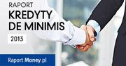Raport o kredytach de minimis