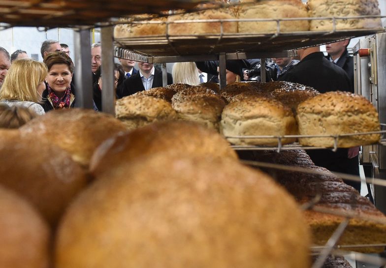 Ekonomista: rząd Beaty Szydło trafił na "tłustsze lata"