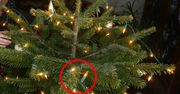 Ukryta funkcja lampek choinkowych? Mało kto o niej wie