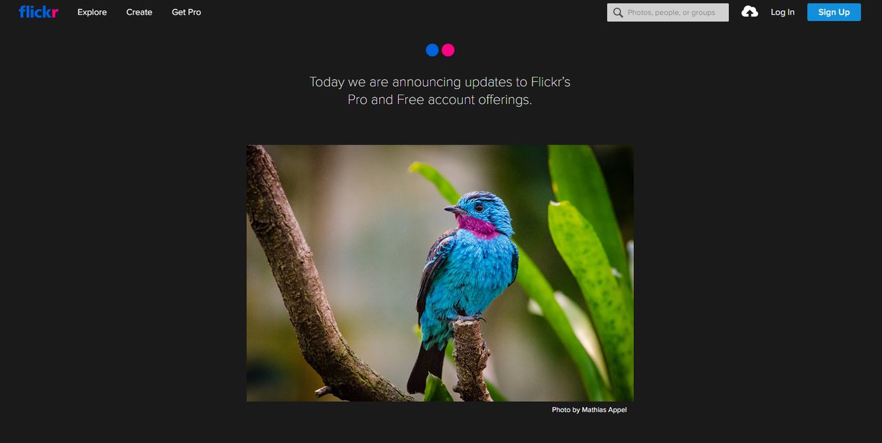Flickr chwali się nadchodzącymi zmianami już na stronie głównej.