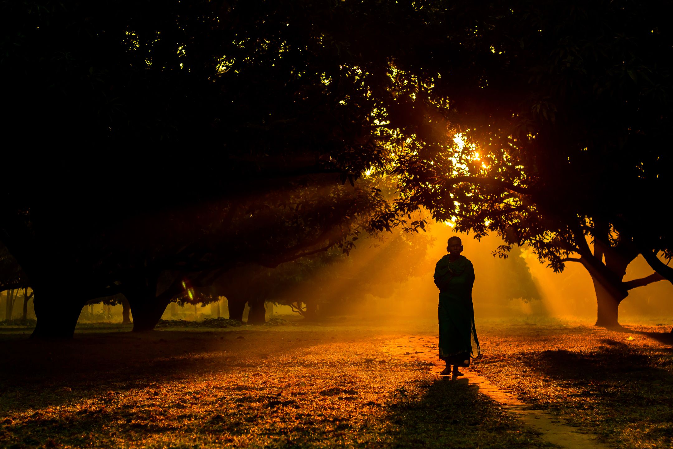 Oto najlepsze zdjęcia zgłoszone dotychczas w Sony World Photography Awards 2015 5