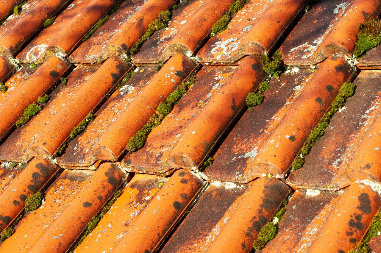 Efficient home remedies to remove damaging roof moss without specialist help