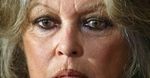 Brigitte Bardot znowu przyciąga tłumy