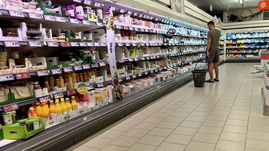 Zakupy w sieci handlowej LIDL