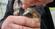 Ograniczenie sprzedaży alkoholu w Żarach? Temat powraca za sprawą radnych, którzy będą zbierać podpisy wśród mieszkańców